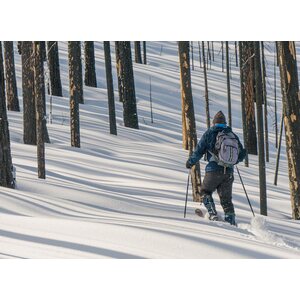 Altai Hok 125 + Bindings