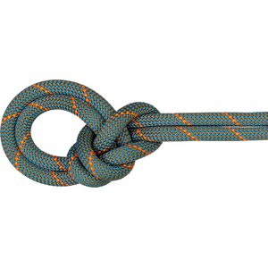 Mammut 9.9 Grag Workhorse Dry Rope