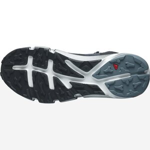 Salomon Predict Hike Mid GTX Mens