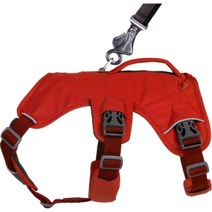 Ruffwear Web Master Harness