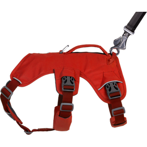 Ruffwear Web Master Harness
