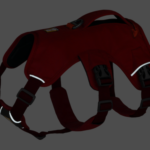 Ruffwear Web Master Harness