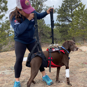 Fido Pro Panza Harness with Deployable Emergency Dog Rescue Sling V2