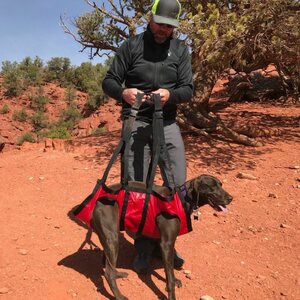 Fido Pro Airlift Dog Emergency Rescue Sling