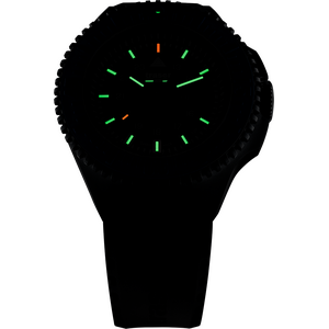Traser P69 Black Stealth Black