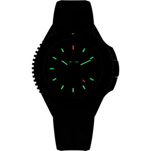 Traser P69 Black Stealth Black
