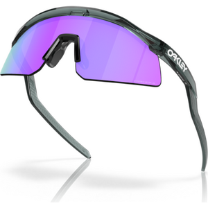 Oakley Hydra Crystal Black w/ Prizm Violet