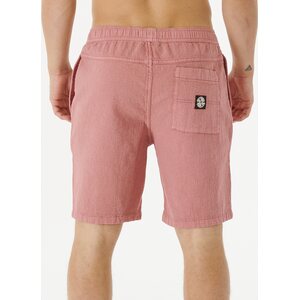 Rip Curl Salt Water Culture Rails 19" Volley Mens