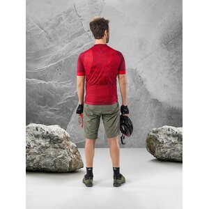 Löffler Bike Shorts Grav-E ASSL Mens