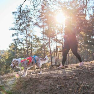 Non-stop Dogwear Freemotion Harness 5.0 Limited Edition