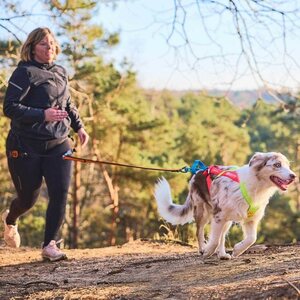 Non-stop Dogwear Freemotion Harness 5.0 Limited Edition