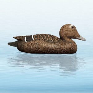 SportPlast Eider, Floating (12 kpl)