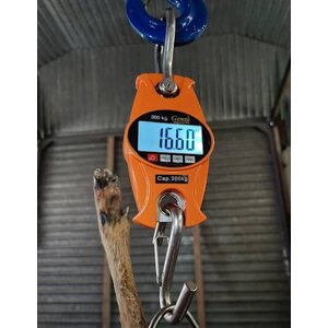Genzo Digital Scale For Game