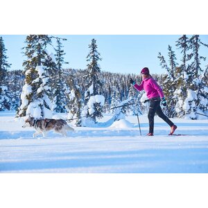 Non-stop Dogwear Trekking Belt 2.0