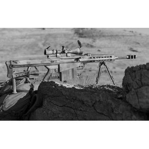 Barrett MODEL 82A1® .50 BMG