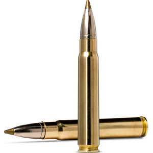 Norma 9,3x62 Evostrike 11.9g/184gr 20kpl
