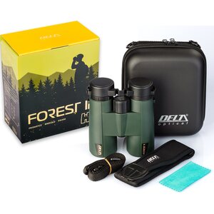 Delta Optical Forest II