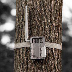 Spypoint Link Micro 2