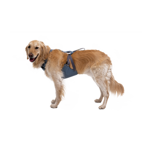 Ruffwear Load Up Car Harness