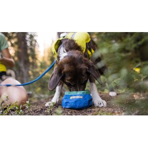 Ruffwear Trail Runner Bowl