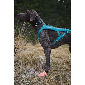 Non-stop Dogwear Protector Light Socks (4 pcs)