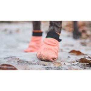 Non-stop Dogwear Protector Light Socks (4 pcs)