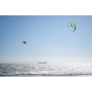 Ozone Vortex Ultra-X Kite Only 7m²