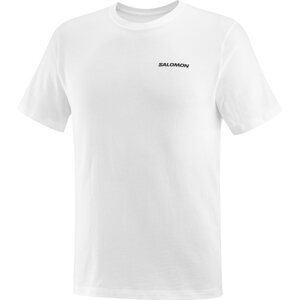 Salomon Graphic Perf Short Sleeve Tee Mens