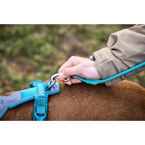 Non-stop Dogwear Trekking Rope Leash