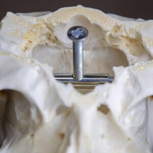 Eurohunt Skull Plate Screw