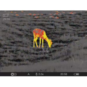 Pulsar Axion 2 XQ35 Pro
