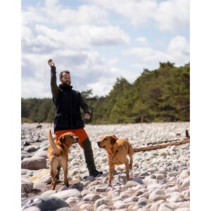Pinewood Dog Sports Trainer Vest Mens