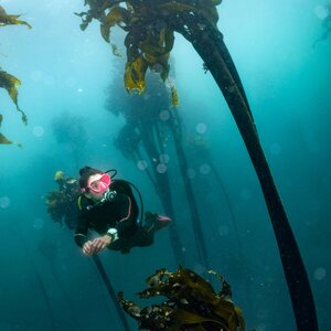 Suunto Ocean