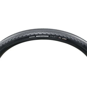 Maxxis Receptor EXO TR 700X40C 120tpi Folding