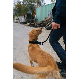 Non-stop Dogwear Security Strap WD