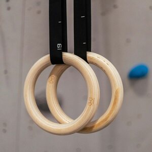 YY Vertical Gym Rings