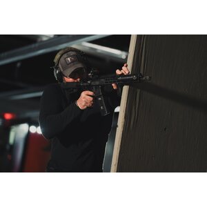 Sig Sauer M400 Sentry
