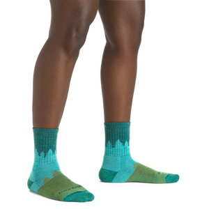 Darn Tough Treeline Micro Crew Midweight With Cushion Womens
