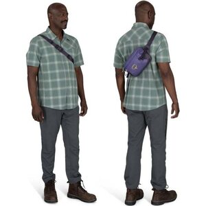 Osprey Transporter Waist