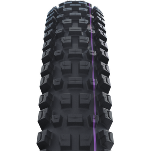Schwalbe Albert Gravity Pro Evolution Folding Tire 29" 2,50" (63-622)