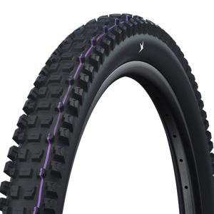 Schwalbe Albert Gravity Pro Evolution Folding Tire 29" 2,50" (63-622)