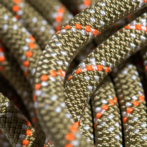Mammut 9.5 Gym Classic Rope