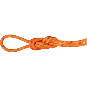 Mammut 8.0 Alpine Dry Rope