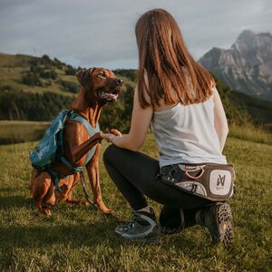 Non-stop Dogwear Explore Belt