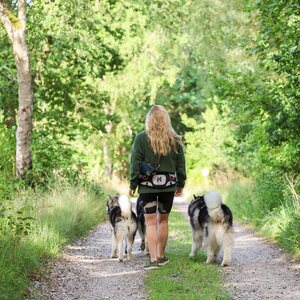 Non-stop Dogwear Explore Belt