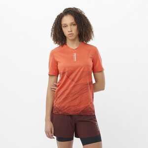 Salomon S/Lab Ultra Tee AOP Womens