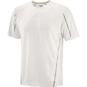 Salomon SHKout Core Stellar Short Sleeve Tee Mens