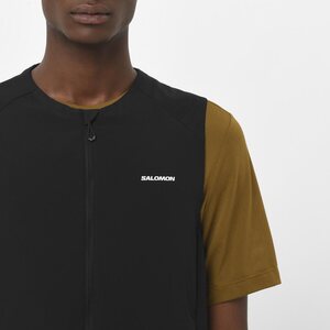 Salomon Mountain Flex Hybrid Vest Mens