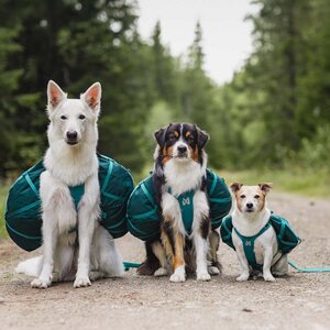 Non-stop Dogwear Trail Quest Dog Backpack