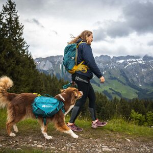 Non-stop Dogwear Trail Quest Dog Backpack
